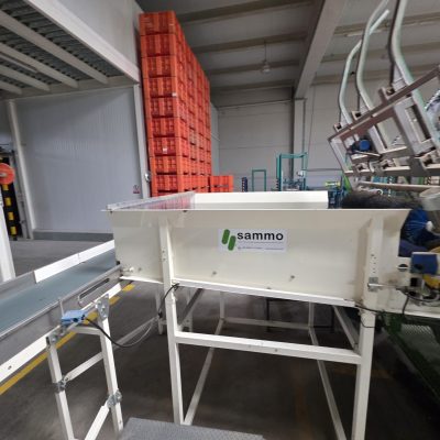 WhatsApp Image 2026-01-31 at 18.51.29 (9)