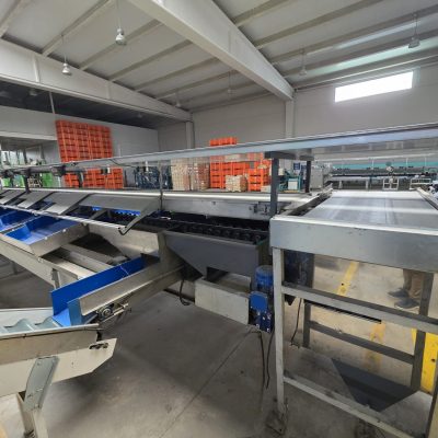 WhatsApp Image 2026-01-31 at 18.51.30 (13)