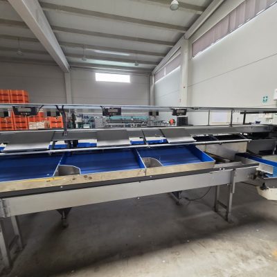 WhatsApp Image 2026-01-31 at 18.51.31 (1)