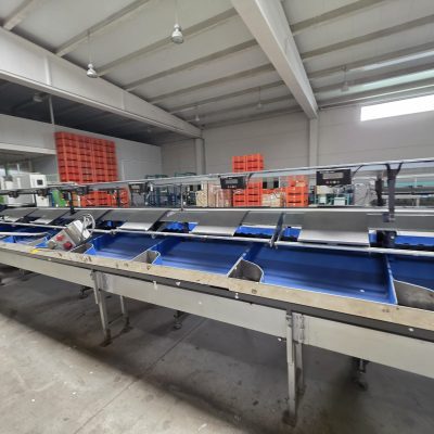 WhatsApp Image 2026-01-31 at 18.51.31 (2)