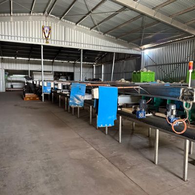 WhatsApp Image 2026-02-02 at 10.55.06 (1)