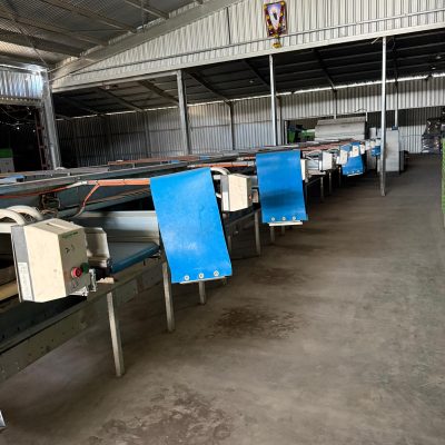 WhatsApp Image 2026-02-02 at 10.55.06