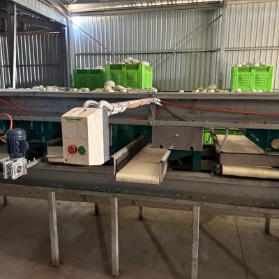 WhatsApp Image 2026-02-02 at 10.55.08 (1)