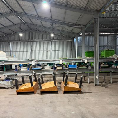 WhatsApp Image 2026-02-02 at 10.55.08 (3)