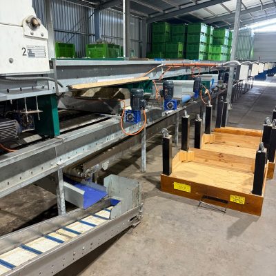 WhatsApp Image 2026-02-02 at 10.55.08 (4)