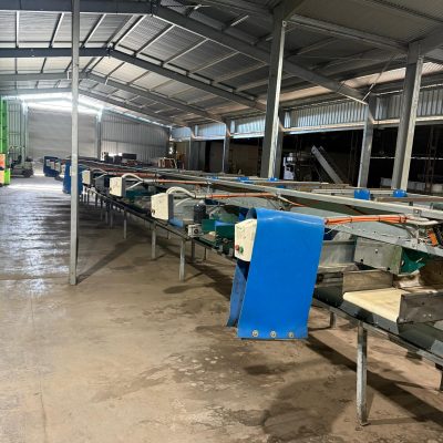 WhatsApp Image 2026-02-02 at 10.55.08 (8)