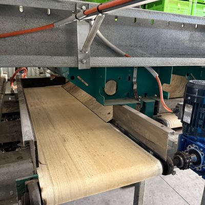 WhatsApp Image 2026-02-02 at 10.55.08