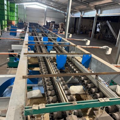 WhatsApp Image 2026-02-02 at 10.55.09 (1)