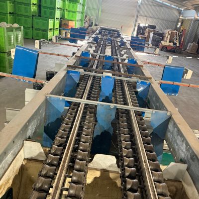 WhatsApp Image 2026-02-02 at 10.55.09 (2)