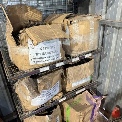 WhatsApp Image 2026-02-02 at 10.55.09 (6)