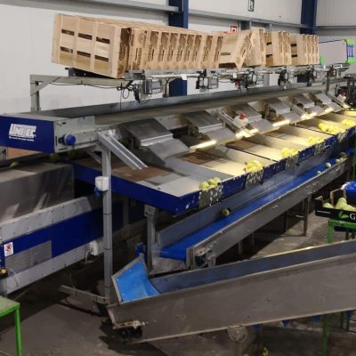 WhatsApp Image 2026-02-03 at 13.36.52 (1)