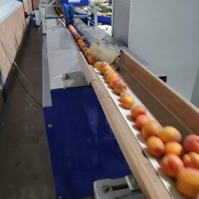 WhatsApp Image 2026-02-03 at 13.36.52