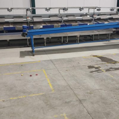 WhatsApp Image 2026-02-03 at 13.36.53