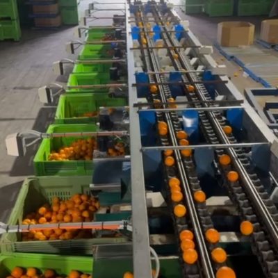 WhatsApp Image 2026-02-04 at 16.06.10 (1)