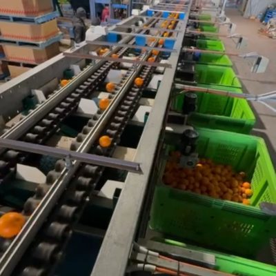 WhatsApp Image 2026-02-04 at 16.06.10