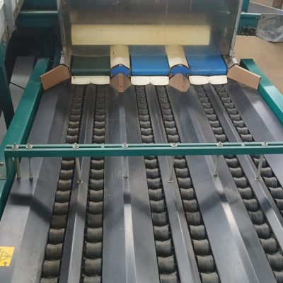 WhatsApp Image 2026-02-07 at 19.39.59