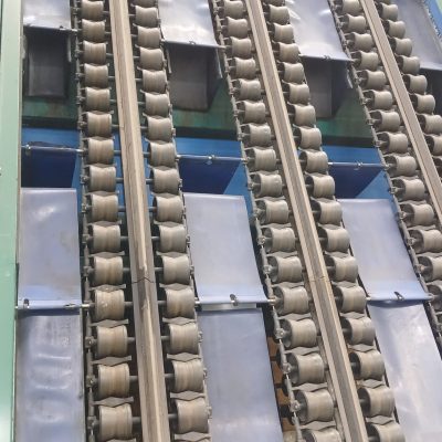 WhatsApp Image 2026-02-07 at 19.40.00