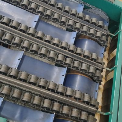 WhatsApp Image 2026-02-07 at 19.40.01