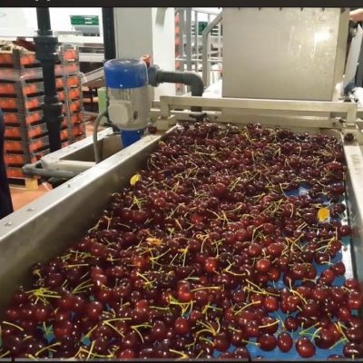 WhatsApp Image 2026-02-07 at 22.29.22 (1)