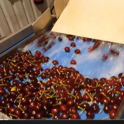 WhatsApp Image 2026-02-07 at 22.29.22