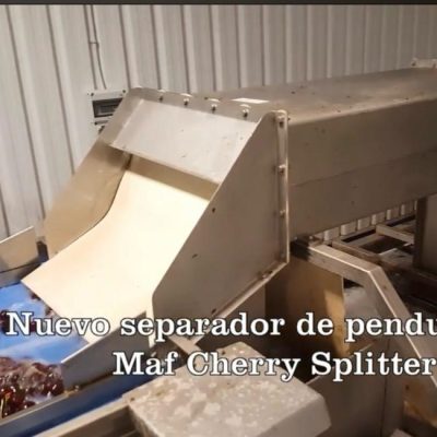 WhatsApp Image 2026-02-07 at 22.29.23 (1)