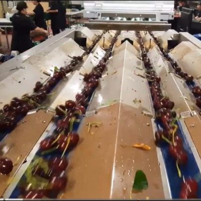 WhatsApp Image 2026-02-07 at 22.29.23 (2)