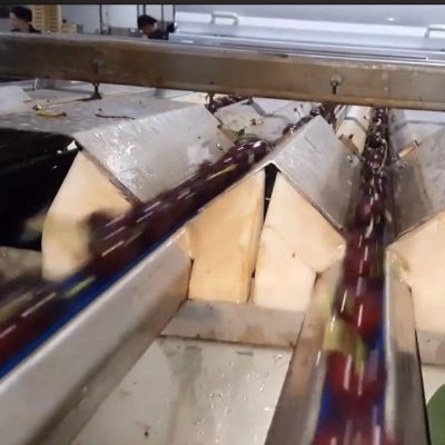 WhatsApp Image 2026-02-07 at 22.29.23 (4)