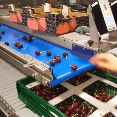 WhatsApp Image 2026-02-07 at 22.29.23 (9)