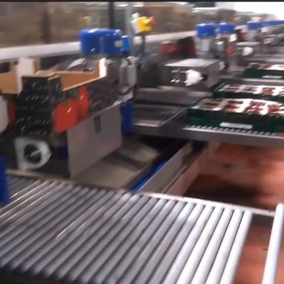 WhatsApp Image 2026-02-07 at 22.29.24 (1)