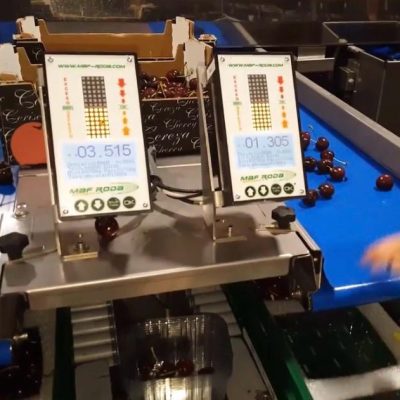 WhatsApp Image 2026-02-07 at 22.29.24