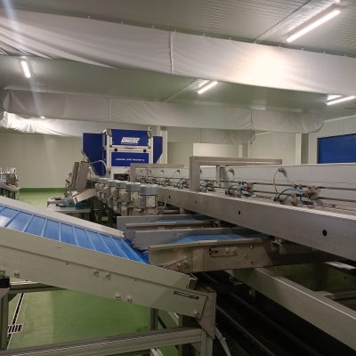 WhatsApp Image 2026-02-09 at 14.36.41 (10)