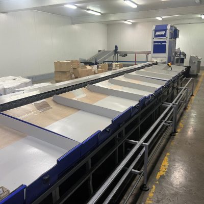 WhatsApp Image 2026-02-09 at 17.29.07