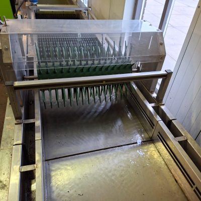 WhatsApp Image 2026-02-18 at 15.07.41 (1)