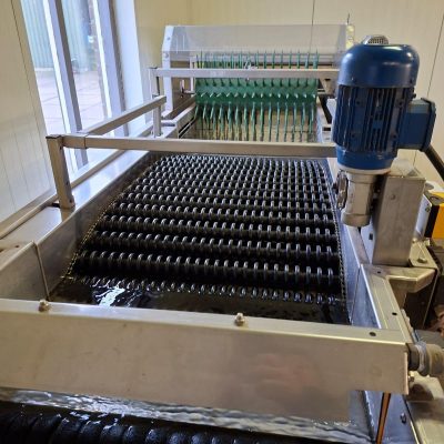 WhatsApp Image 2026-02-18 at 15.07.42 (1)