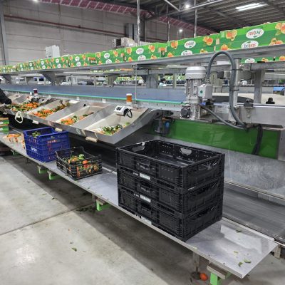 WhatsApp Image 2026-02-18 at 15.26.18