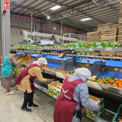 WhatsApp Image 2026-02-18 at 15.26.22 (1)