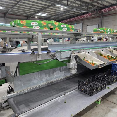 WhatsApp Image 2026-02-18 at 15.26.22 (2)