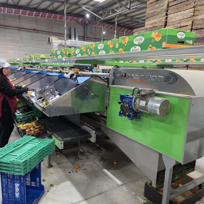 WhatsApp Image 2026-02-18 at 15.26.22