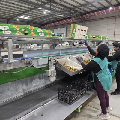 WhatsApp Image 2026-02-18 at 15.26.23