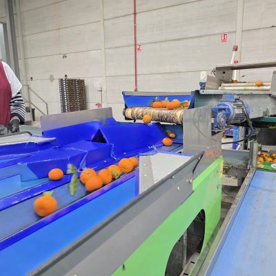 WhatsApp Image 2026-02-18 at 15.26.24