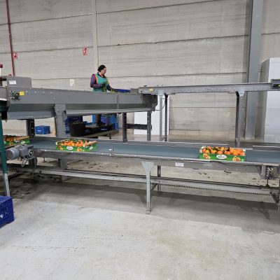 WhatsApp Image 2026-02-18 at 15.26.28 (1)