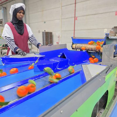 WhatsApp Image 2026-02-18 at 15.26.28