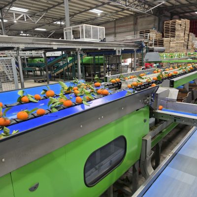 WhatsApp Image 2026-02-18 at 15.26.29 (1)