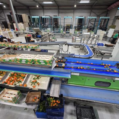 WhatsApp Image 2026-02-18 at 15.26.29 (2)