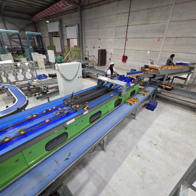 WhatsApp Image 2026-02-18 at 15.26.29 (3)