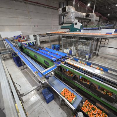 WhatsApp Image 2026-02-18 at 15.26.29 (4)