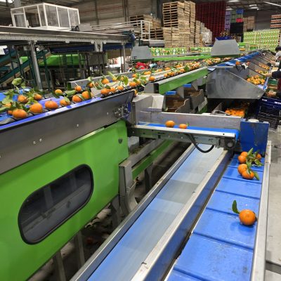 WhatsApp Image 2026-02-18 at 15.26.29