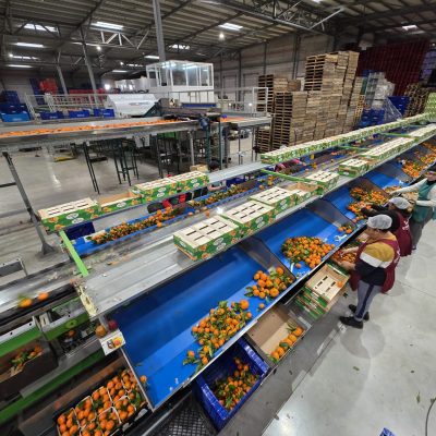 WhatsApp Image 2026-02-18 at 15.26.30 (1)