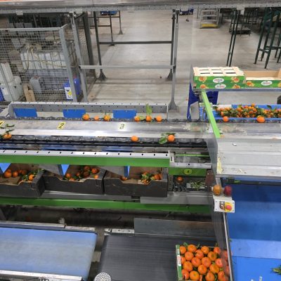 WhatsApp Image 2026-02-18 at 15.26.30 (2)