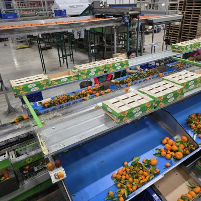 WhatsApp Image 2026-02-18 at 15.26.30 (3)